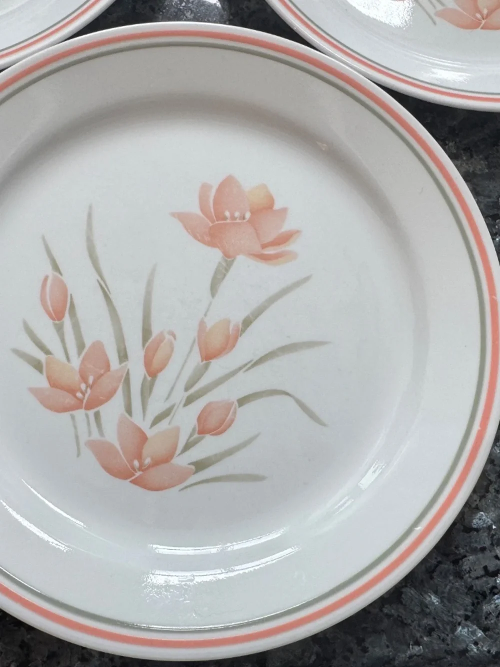 Vintage Corelle by Corning PEACH FLORAL 10 1/4” Dinner Plates Set of 3